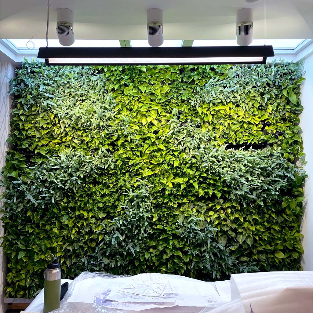 Excel Office Green Wall