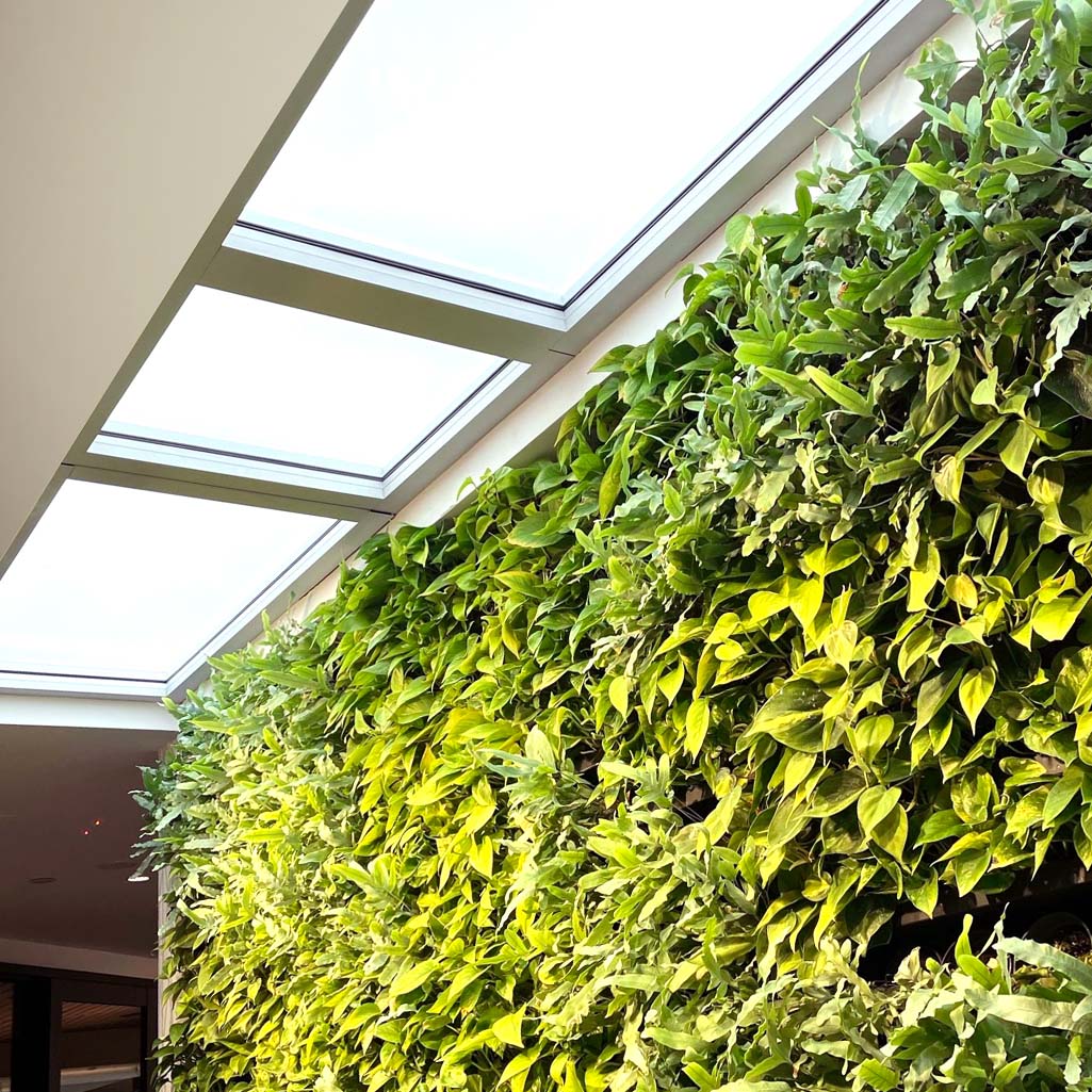 Excel Office Green Wall